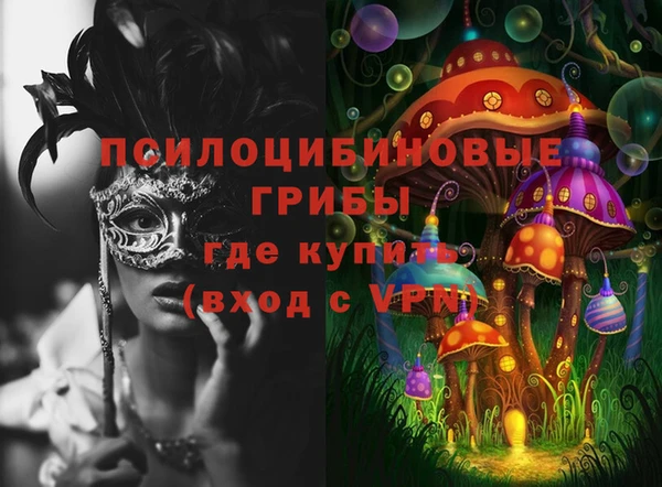 apvp Аркадак