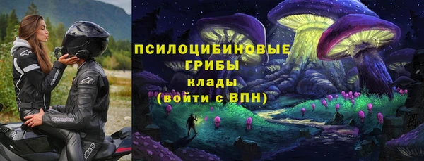 apvp Аркадак